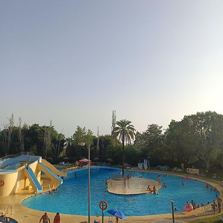 Midori Estudio Minerva Benalmadena Luaran gambar